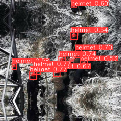 yolo_pred2.png